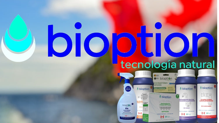 Bioption: Soluciones para el Hogar (Gasfitería Ecológica)