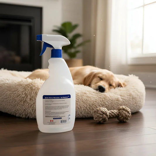 Quita Olores para Mascotas Bioption – Spray Enzimático 750cc