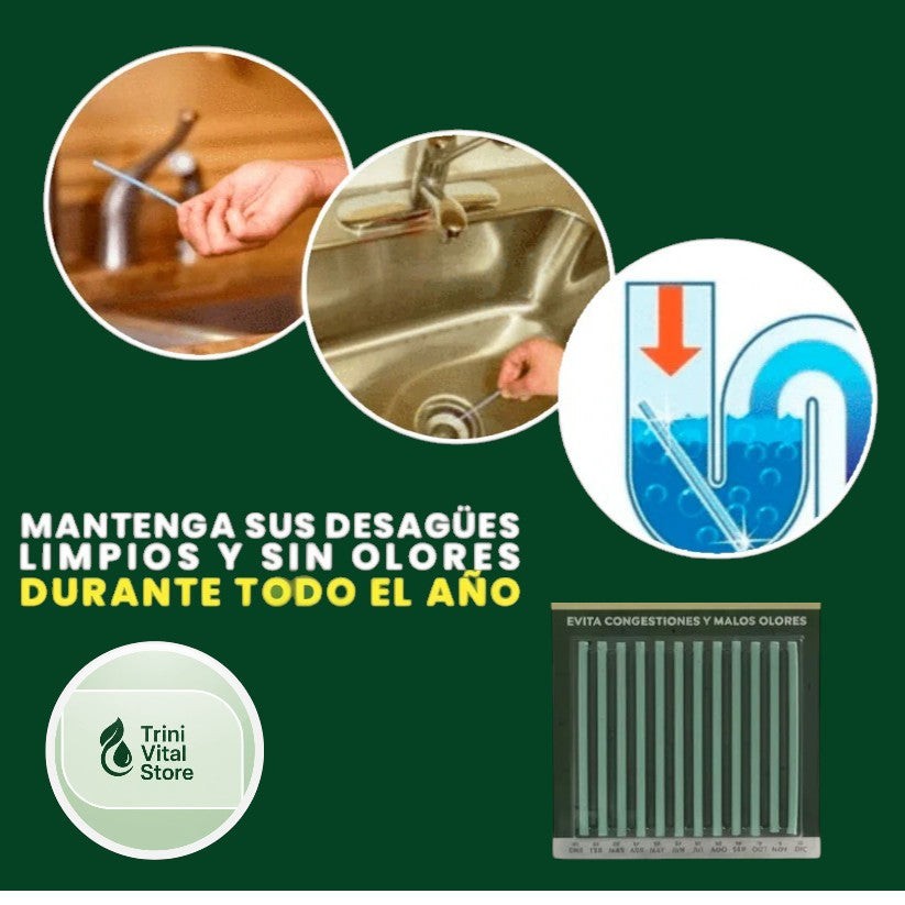 Trini Vital Store ECO BASTONES biodegradables para limpiar sifones de cocina y baño con fragancia cítrica