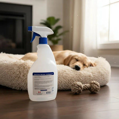Spray enzimático Trini Vital Store Bioption para eliminar olores de mascotas en una sala con un perro durmiendo